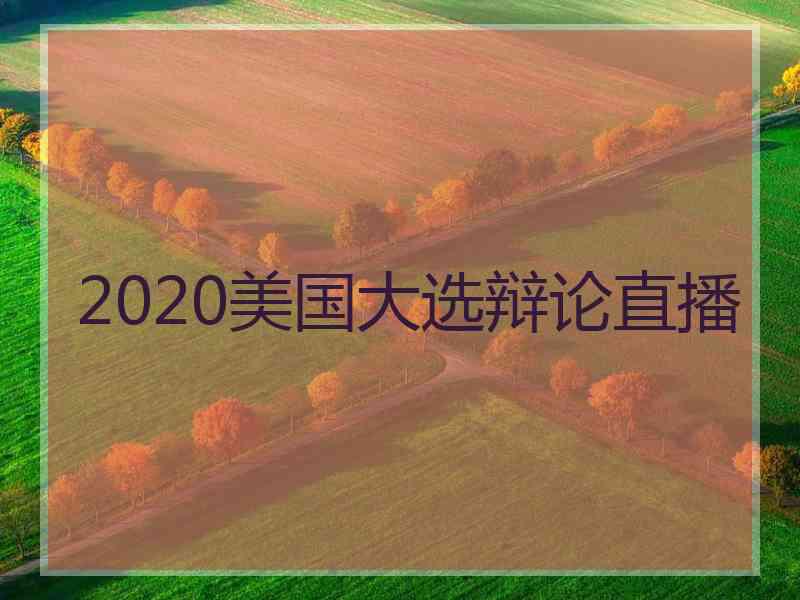 2020美国大选辩论直播