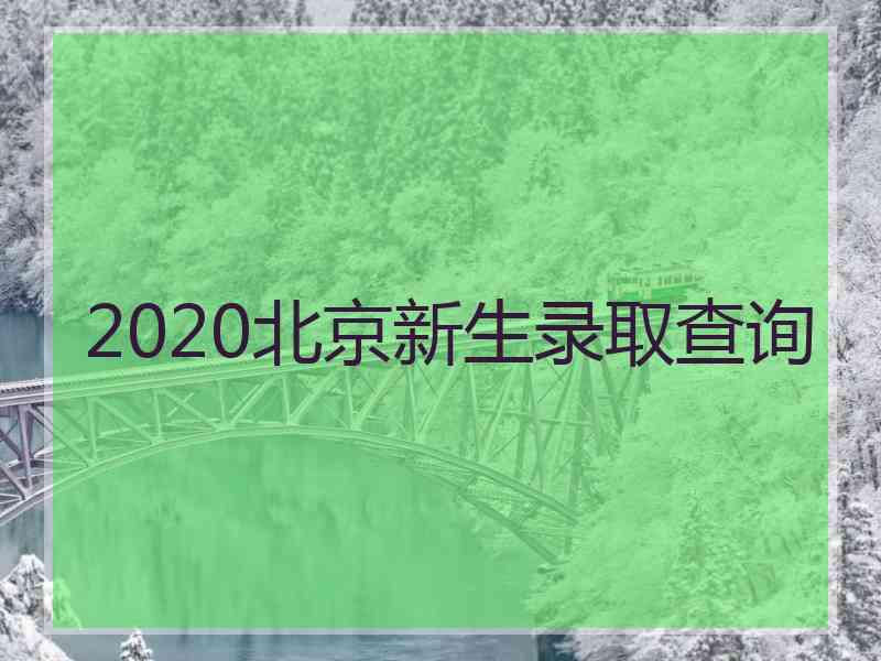 2020北京新生录取查询