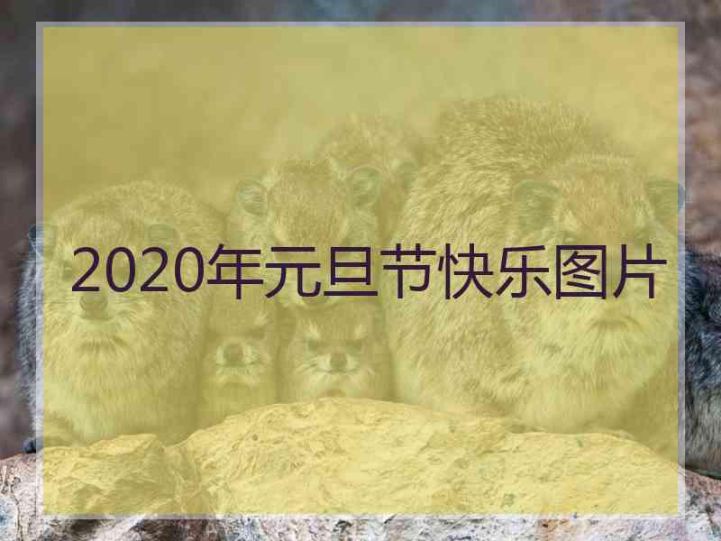 2020年元旦节快乐图片