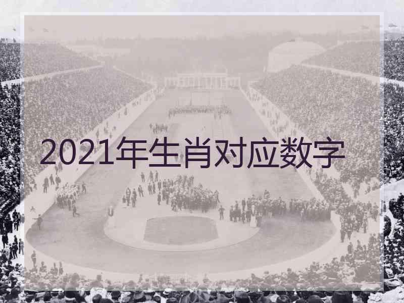 2021年生肖对应数字