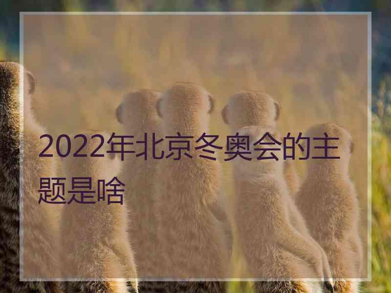 2022年北京冬奥会的主题是啥