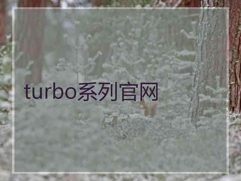 turbo系列官网