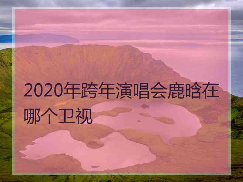 2020年跨年演唱会鹿晗在哪个卫视