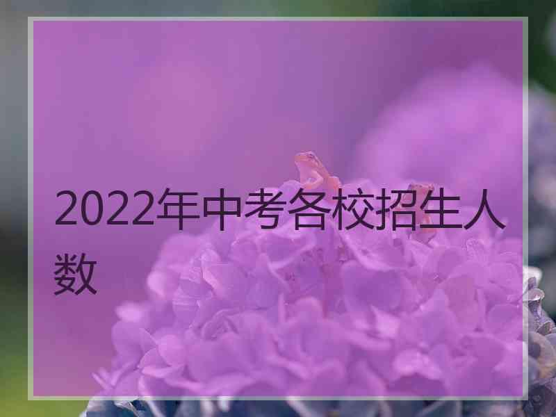 2022年中考各校招生人数