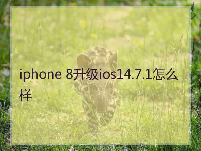 iphone 8升级ios14.7.1怎么样