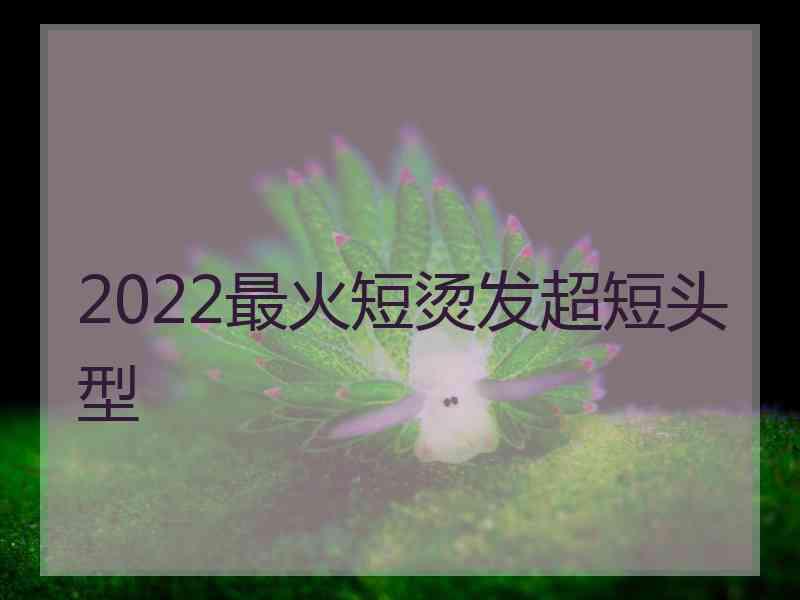 2022最火短烫发超短头型