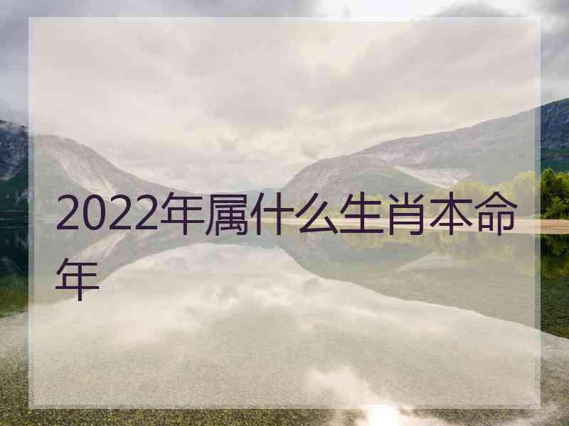 2022年属什么生肖本命年