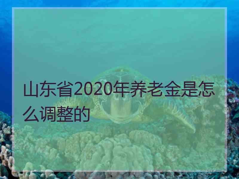 山东省2020年养老金是怎么调整的