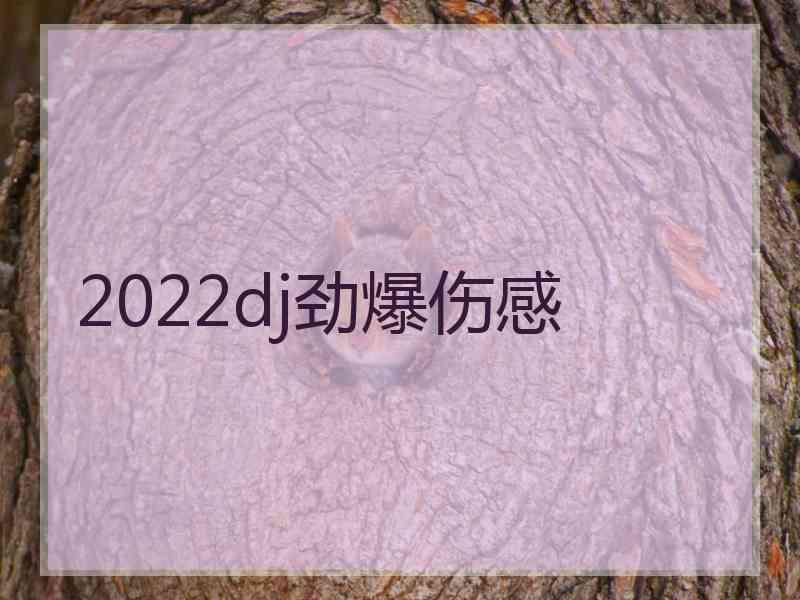 2022dj劲爆伤感