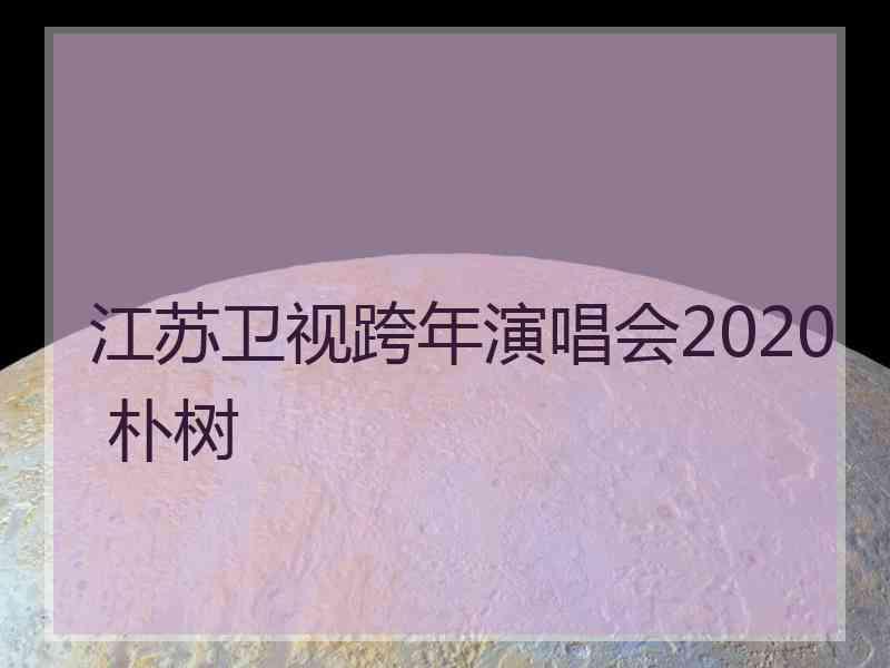 江苏卫视跨年演唱会2020 朴树