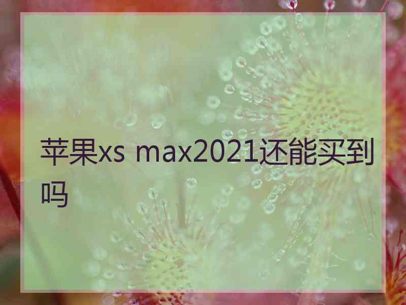 苹果xs max2021还能买到吗