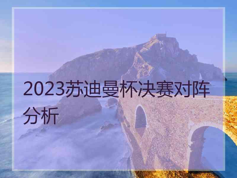 2023苏迪曼杯决赛对阵分析