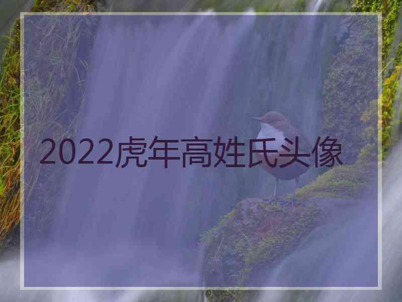 2022虎年高姓氏头像