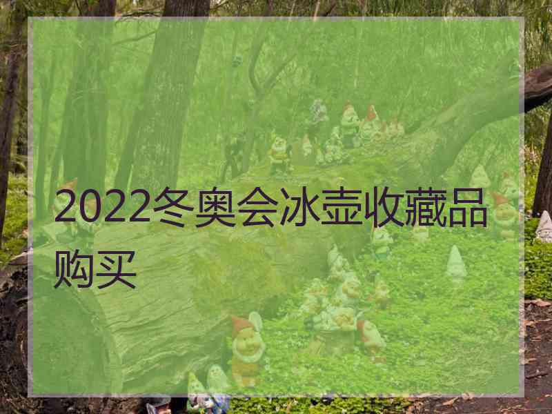 2022冬奥会冰壶收藏品购买