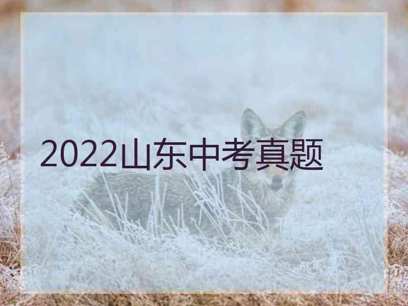 2022山东中考真题