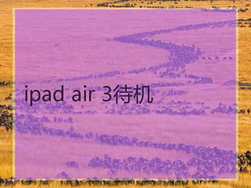 ipad air 3待机