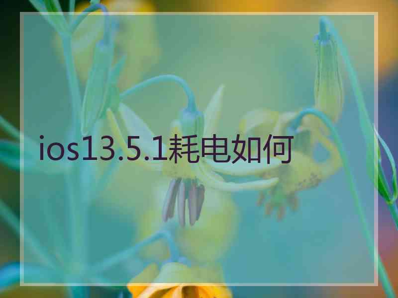 ios13.5.1耗电如何