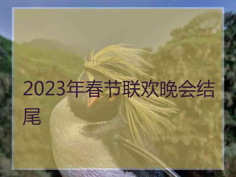 2023年春节联欢晚会结尾