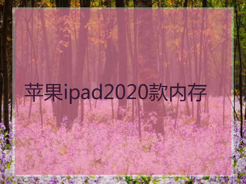 苹果ipad2020款内存