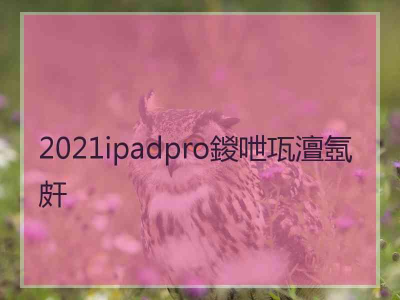 2021ipadpro鍐呭瓨澶氬皯