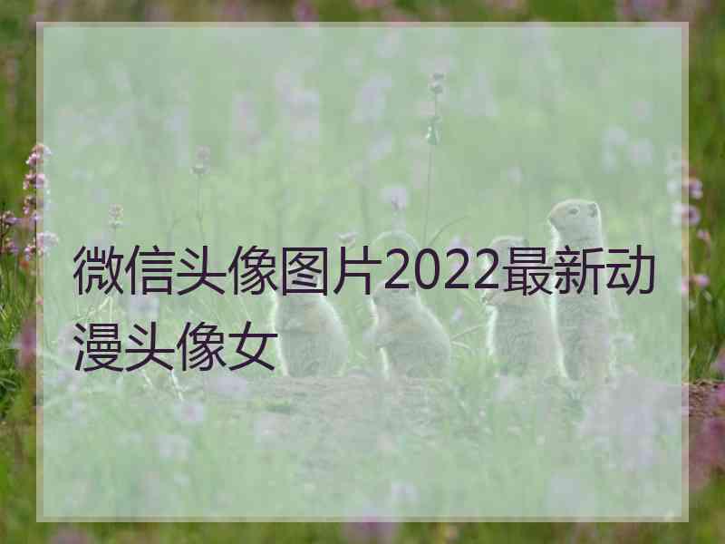 微信头像图片2022最新动漫头像女