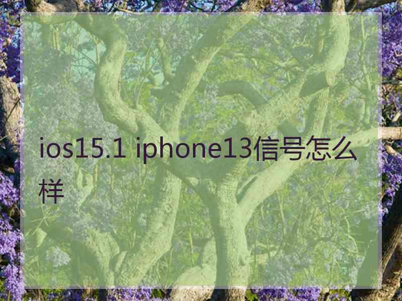 ios15.1 iphone13信号怎么样