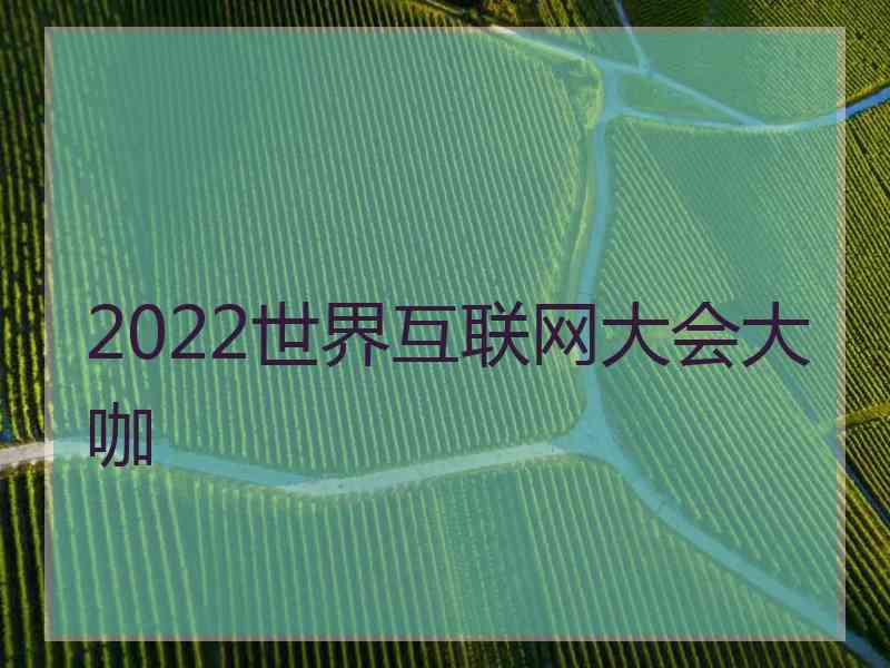 2022世界互联网大会大咖