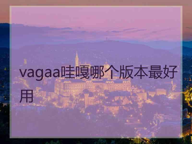 vagaa哇嘎哪个版本最好用