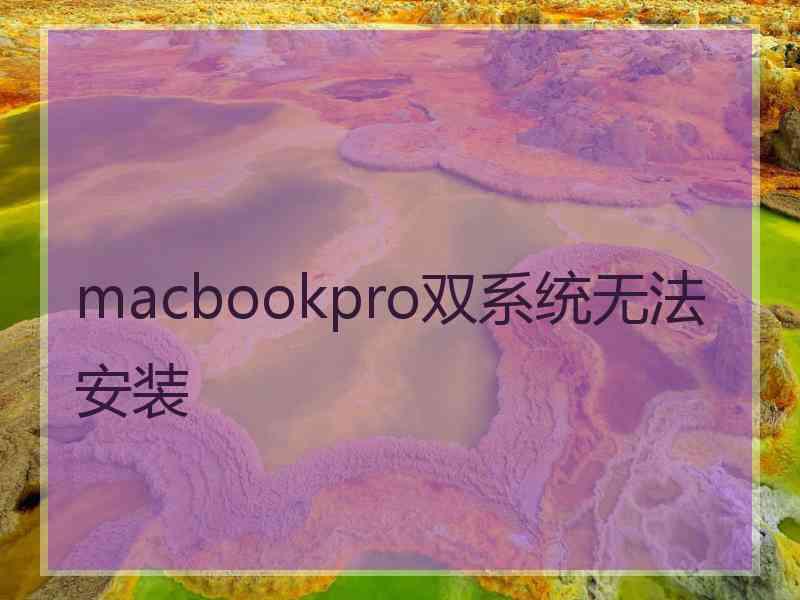 macbookpro双系统无法安装