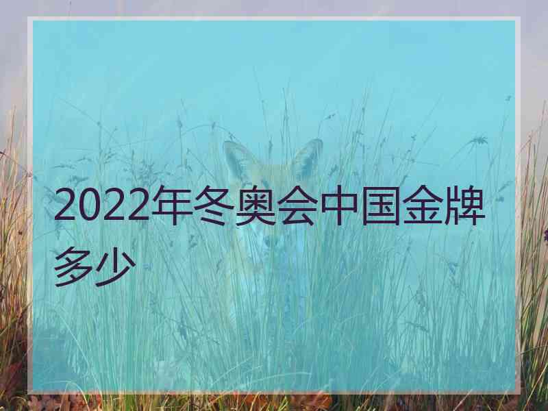 2022年冬奥会中国金牌多少