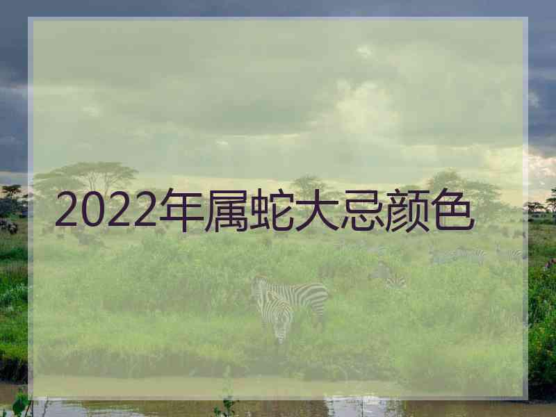 2022年属蛇大忌颜色