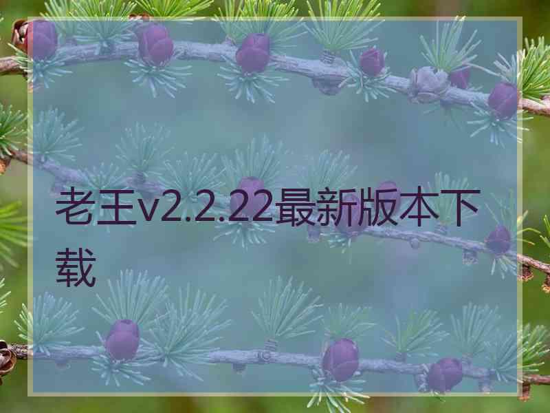 老王v2.2.22最新版本下载