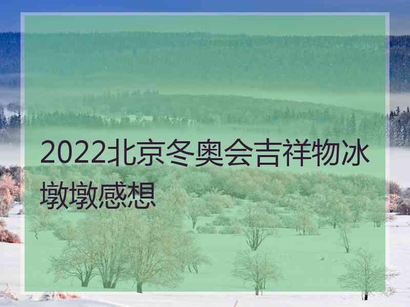 2022北京冬奥会吉祥物冰墩墩感想