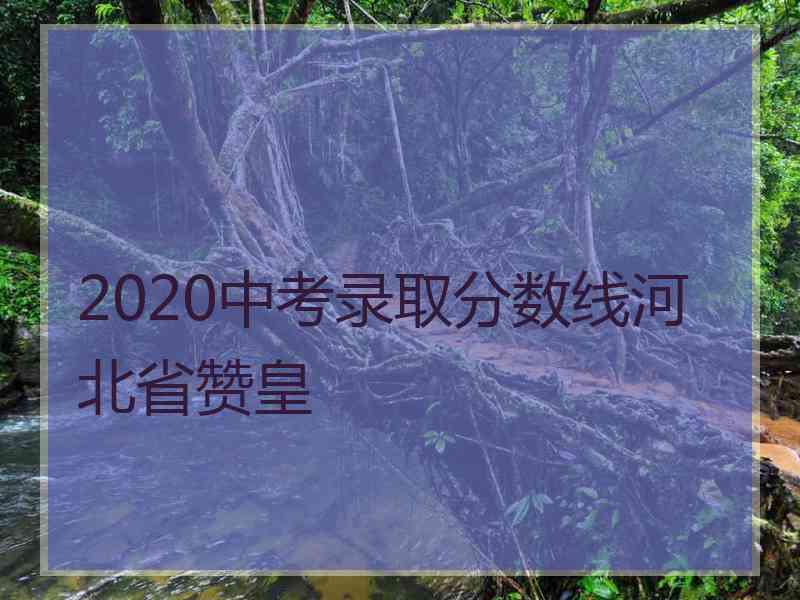 2020中考录取分数线河北省赞皇