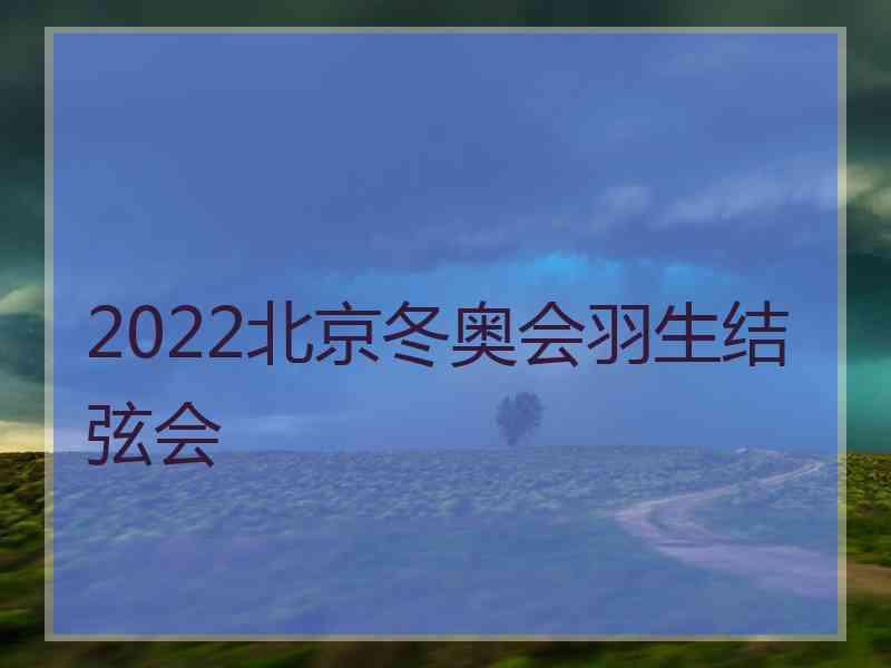 2022北京冬奥会羽生结弦会