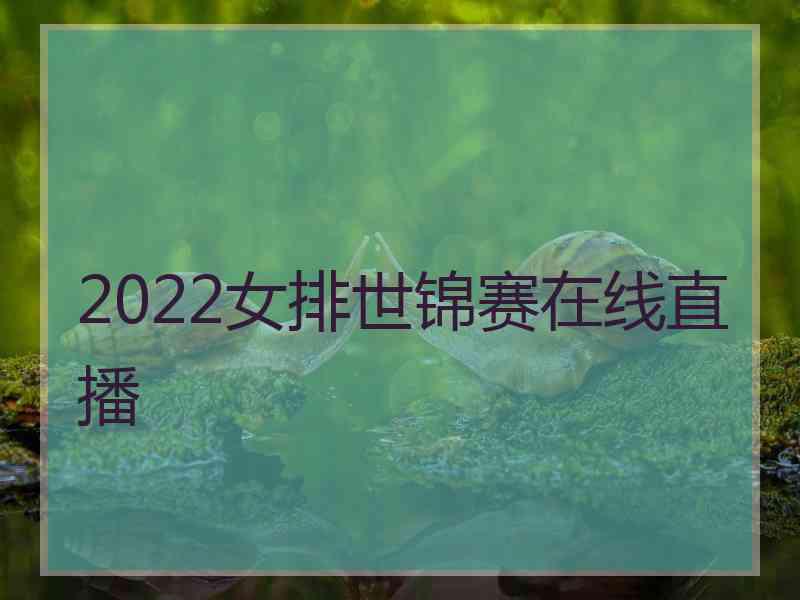 2022女排世锦赛在线直播