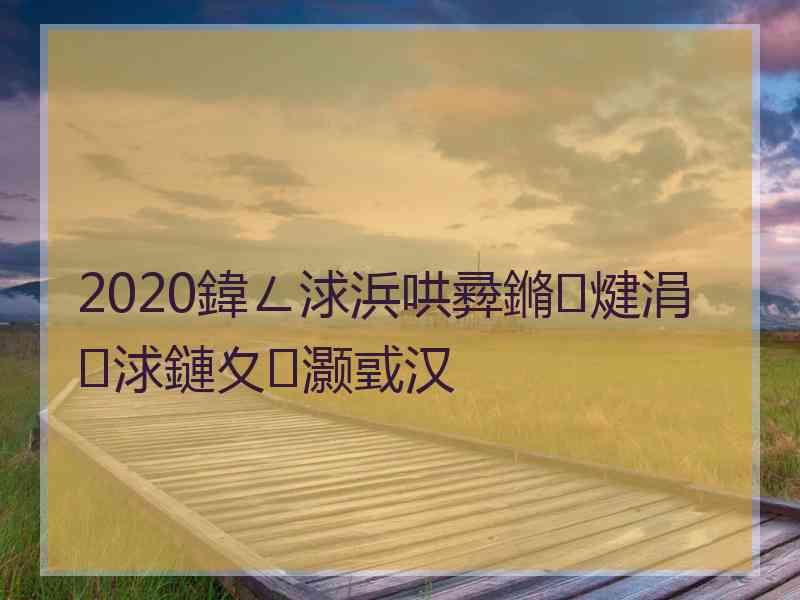 2020鍏ㄥ浗浜哄彛鏅煡涓浗鏈夊灏戜汉