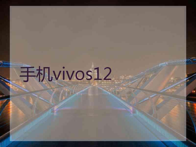 手机vivos12