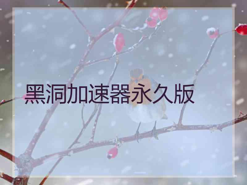 黑洞加速器永久版