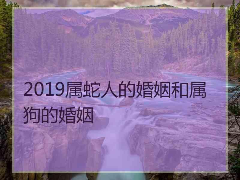 2019属蛇人的婚姻和属狗的婚姻