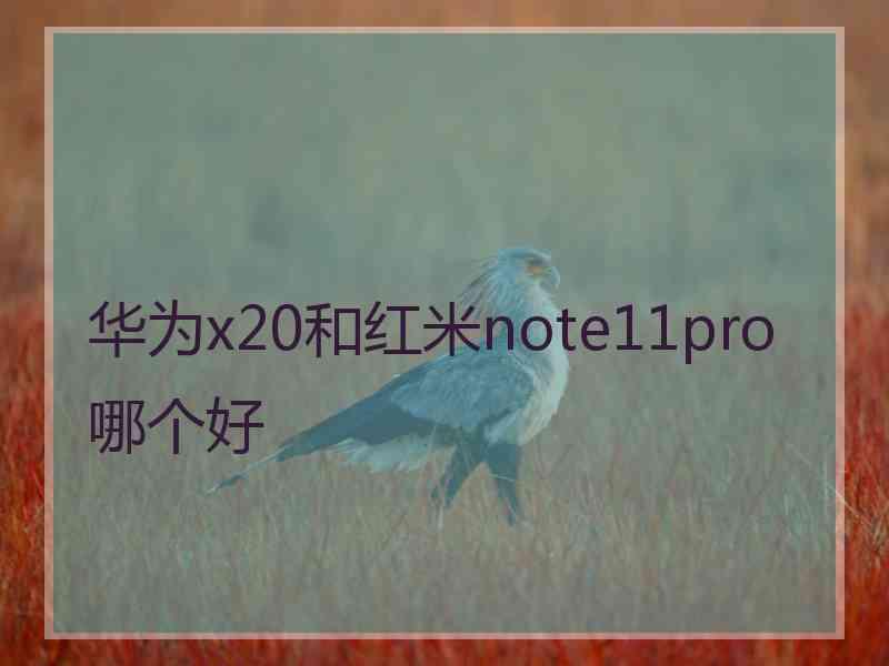 华为x20和红米note11pro哪个好