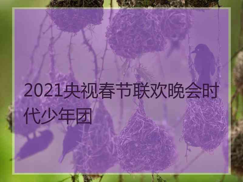 2021央视春节联欢晚会时代少年团