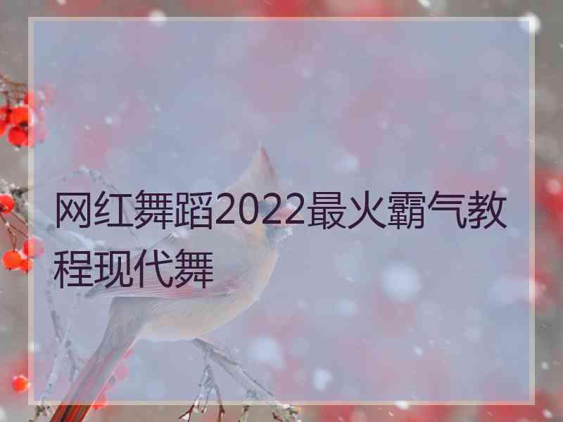 网红舞蹈2022最火霸气教程现代舞