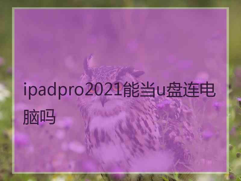 ipadpro2021能当u盘连电脑吗