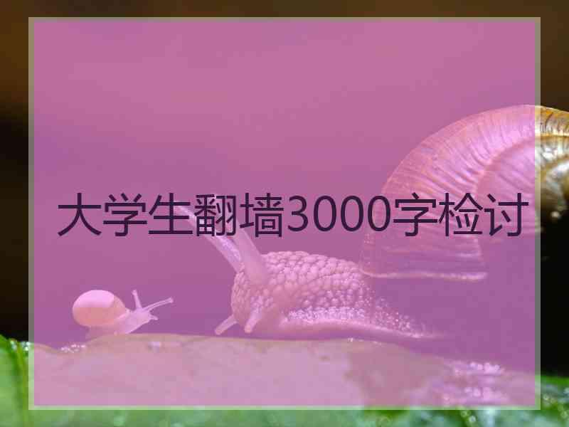 大学生翻墙3000字检讨