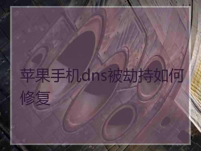 苹果手机dns被劫持如何修复