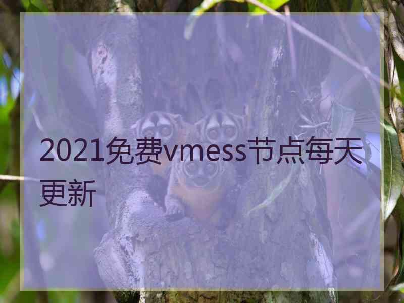 2021免费vmess节点每天更新