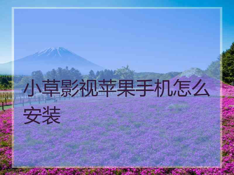 小草影视苹果手机怎么安装