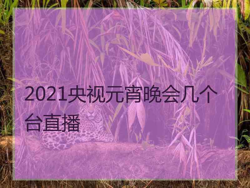 2021央视元宵晚会几个台直播