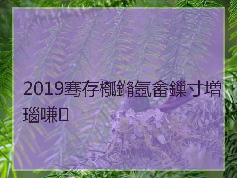 2019骞存槬鏅氬畬鏁寸増瑙嗛